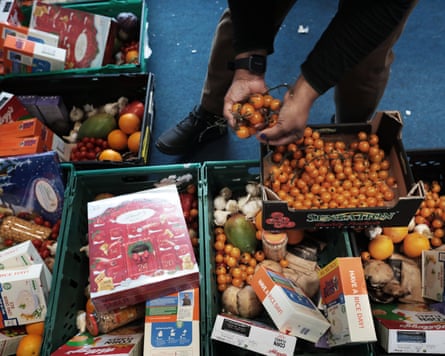 Lots of fresh veg and cartons in green