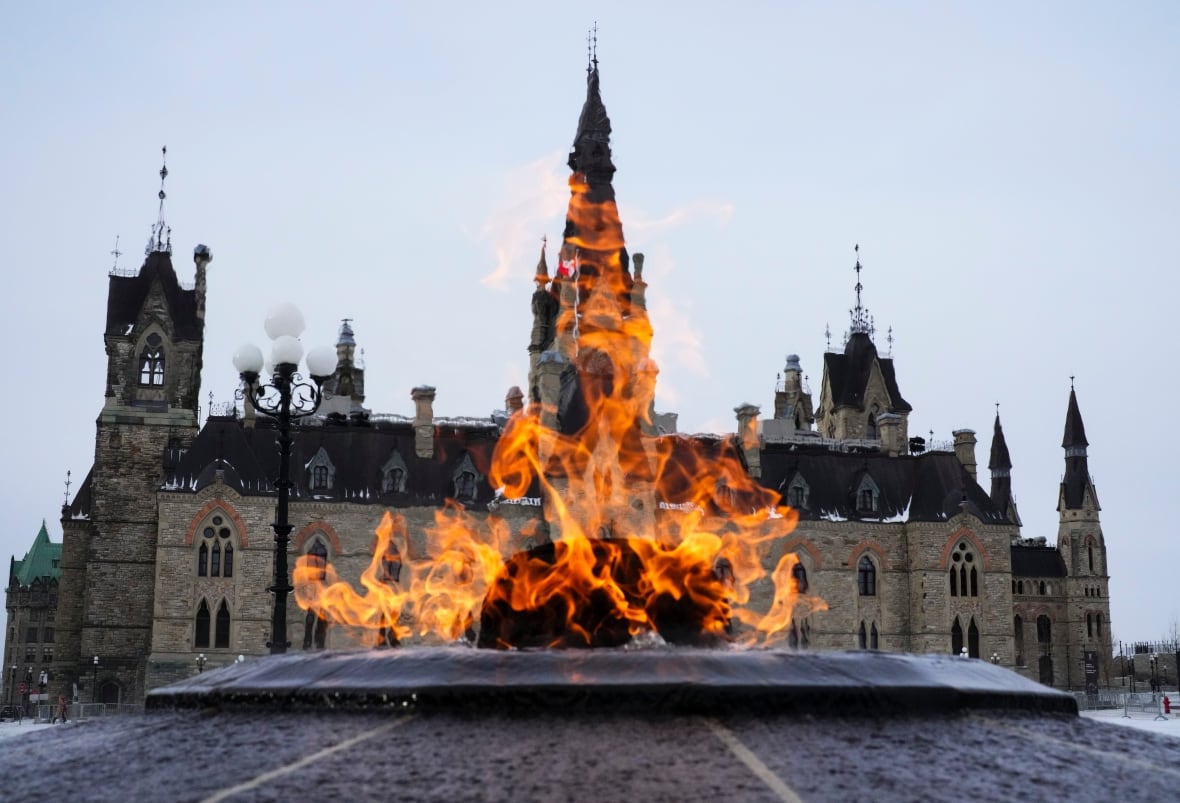 A commemorative flame burns in front of a legislature.
