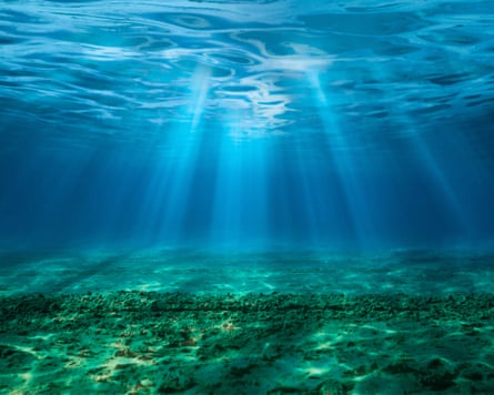 Sunlight shining through the water on to a seabed.