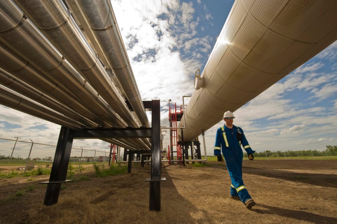 A man in construction overalls walks among pipelines.