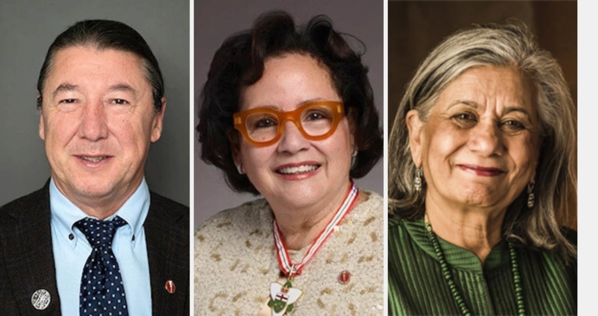 Paul Prosper, Rosemary Moodie and Ratna Omidvar