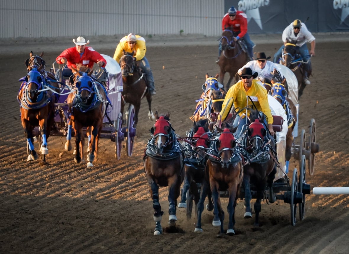 Drivers cross the finish line during chuckwagon racing action at the Calgary Stampede in Calgary, Alta., Saturday, July 8, 2023.