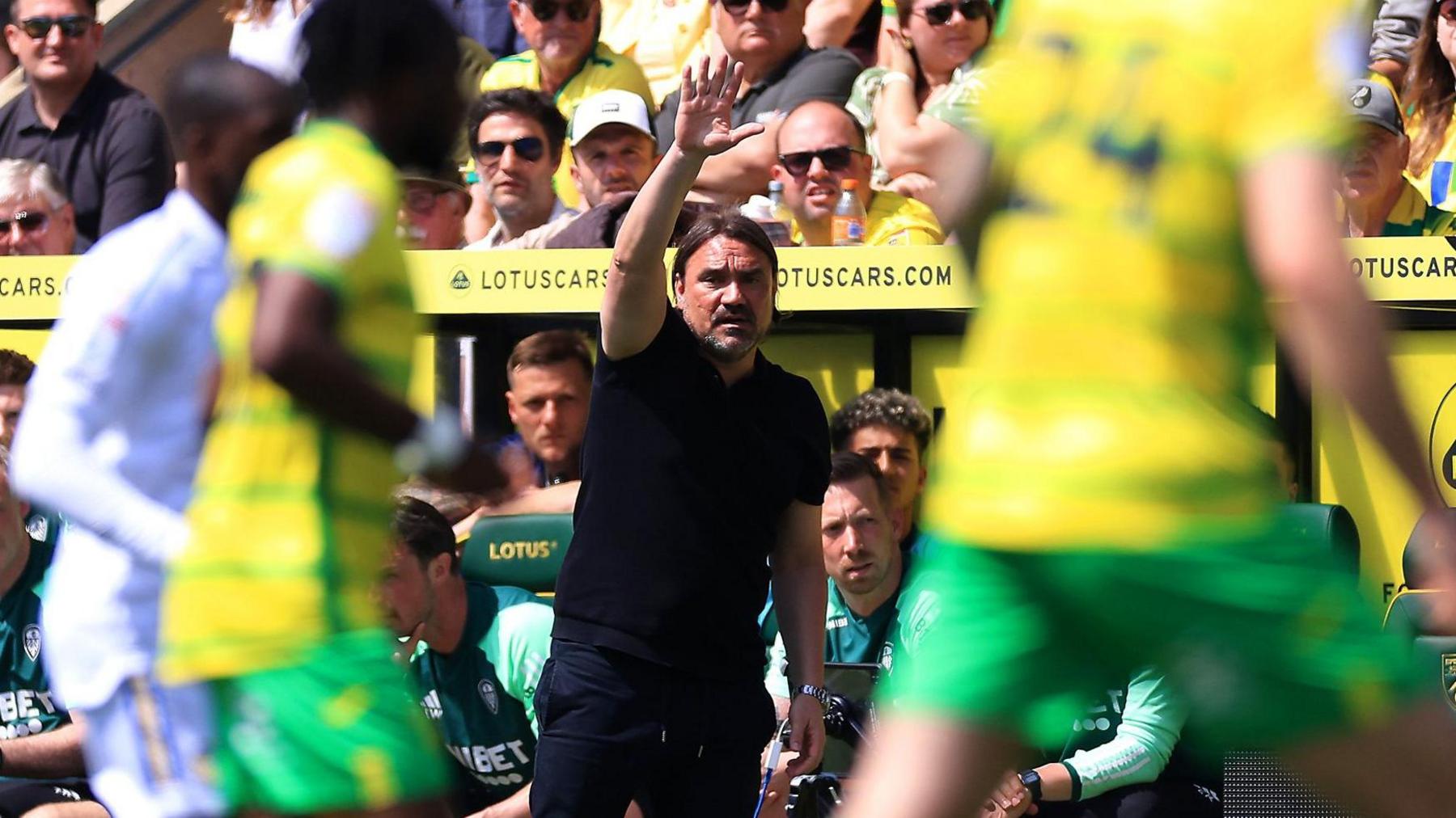 Daniel Farke, with raised right arm, on the touchline during a play-off game between Norwich and Leeds at Carrow Road in 2024